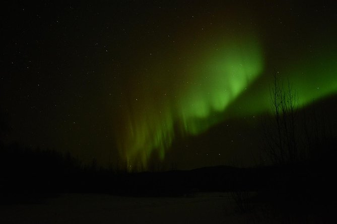 Arctic Circle and Northern Lights Tour From Fairbanks - Meal Options