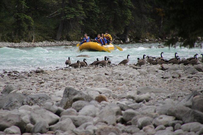 Athabasca River Mile 5 - Operate in All Weather Conditions