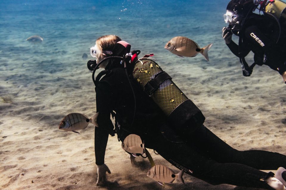 Atlántico Museum: Scuba Dive Lesson for Non-Certified Divers - Participant Restrictions