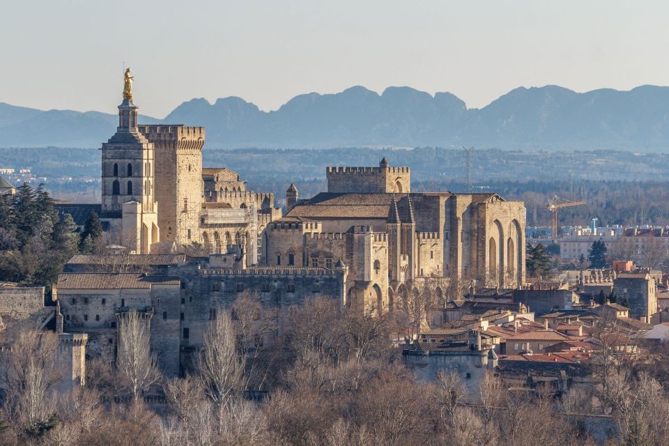 Avignon City of Popes & Wine Tasting Private Full Day Tour - Frequently Asked Questions