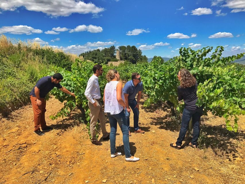 Barcelona: Wine & Sparkling Wine Premium Tour - Customer Feedback