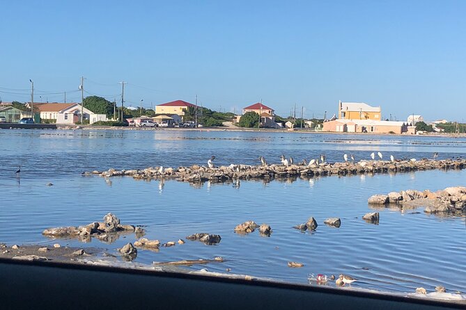 Beach Trail and Swim. Cockburn Town, Grand Turk, Turks and Caicos - Pickup and Confirmation