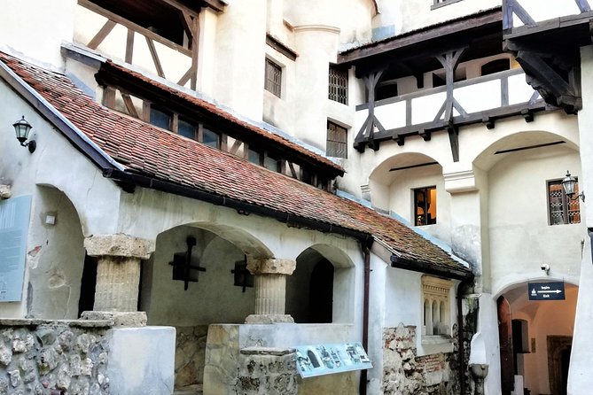 Bear Sanctuary and Draculas Castle, 1-day Private Tour - Brasov Historical Center