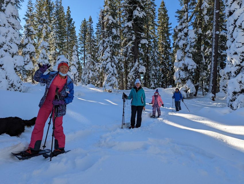 Beginner and Family Snowshoe Tour - Captivating Local Insights