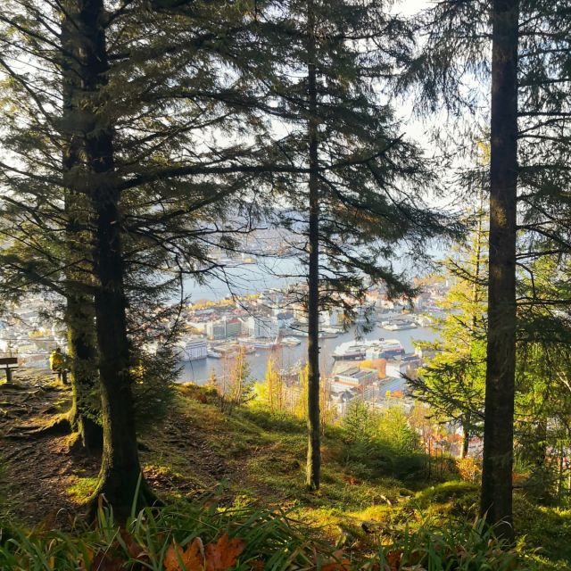 Bergen: Mountain Hike on Top of Bergen - Public Tour - Tour Highlights