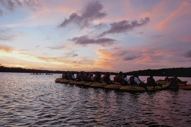 Bio Bay Kayak Tour in Fajardo - Age and Weight Restrictions