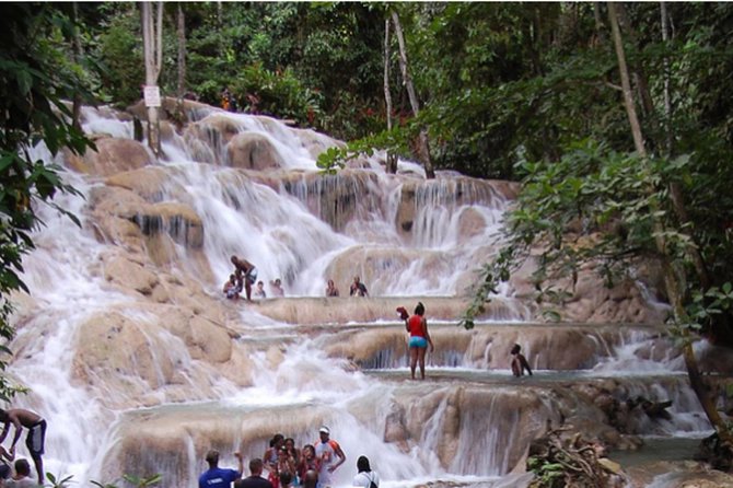 Bob Marley Nine Mile and Dunns River Falls Tour From Montego Bay - Group Size Requirements