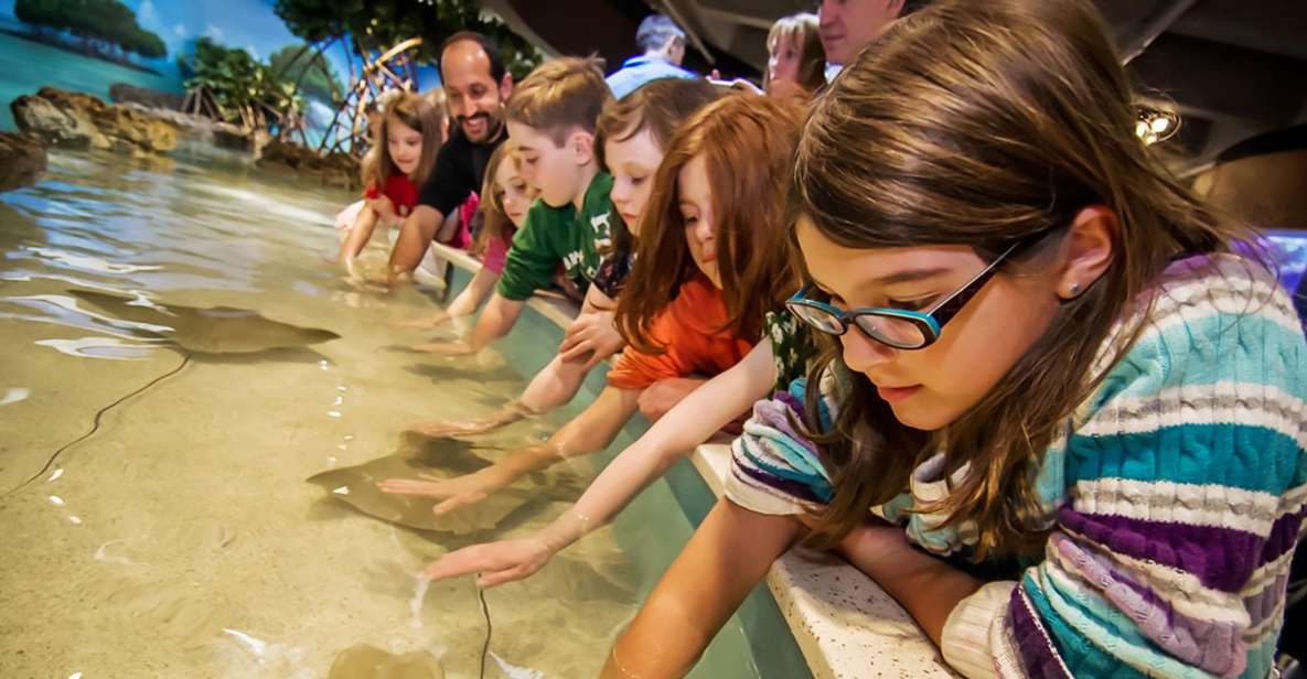 Boston: New England Aquarium Skip-the-Line Entry Ticket - Accessibility for All Visitors