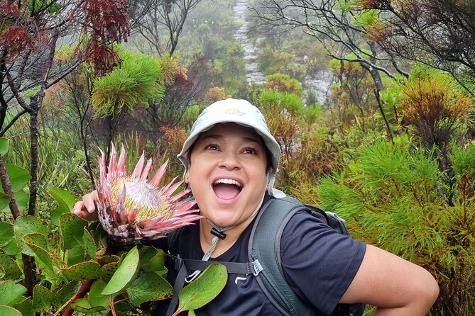 Breathtaking Table Mountain Guided Hike - Off the Beaten Track! - Itinerary and Route