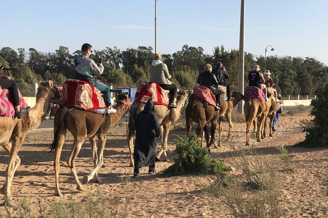 Camel Ride in Agadir at Sunset With Dinner (Bbq) - Confirmation and Booking Details