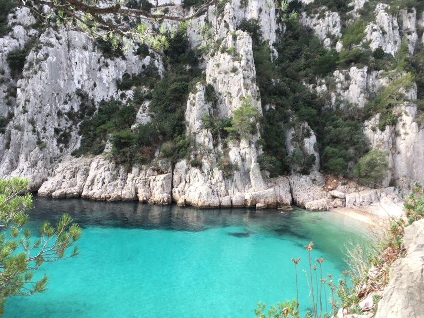 Cassis: Calanques and Viewpoints Tour by Mountain E-Bike - Professional Guided Tour