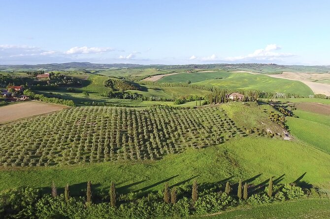 Chianti Wine Tour From Florence - Included and Not Included