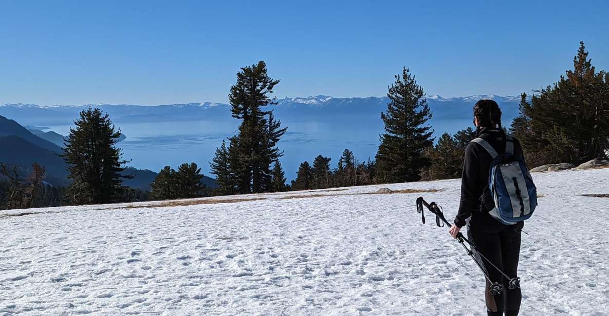 Chickadee Ridge Beginner Snowshoeing Hike - Elevation Gain