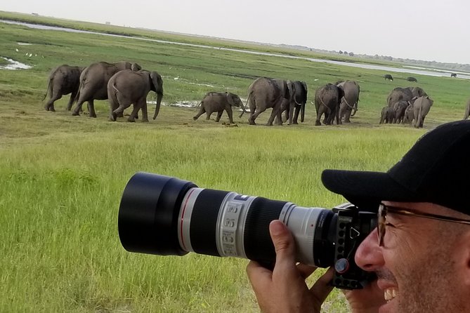 Chobe Day Trip From Victoria Falls Zimbabwe - Visitor Information and Requirements