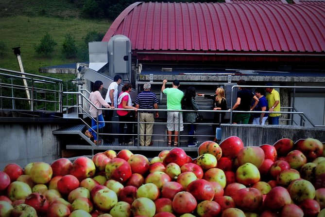 Cider House Experience From San Sebastian - Traditional Basque Lunch