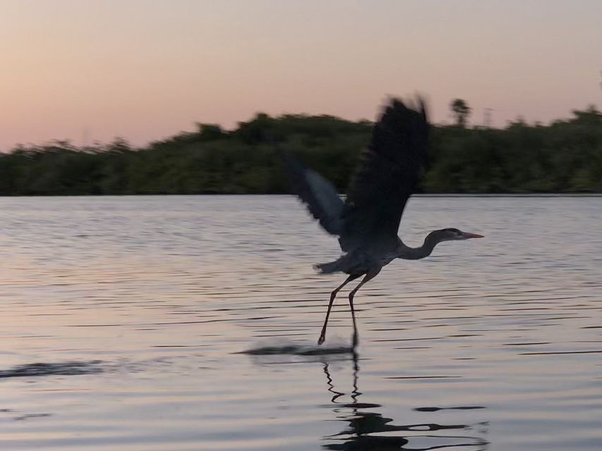 Cocoa Beach: Sunset Guided Kayak Tour - What to Bring and Restrictions