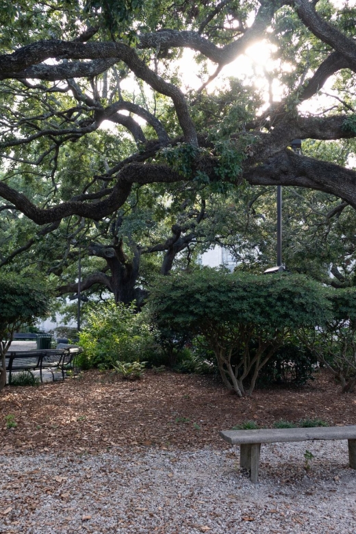 Crescent City Chronicles: The Heart of New Orleans - Guided Tour Highlights