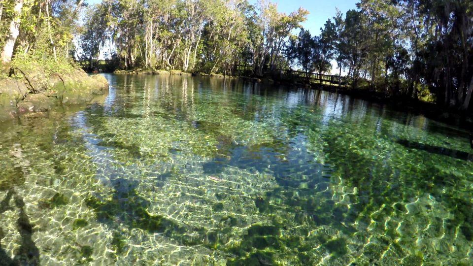 Crystal River: Three Sisters Springs Guided Kayak Tour - Meeting Location and Directions