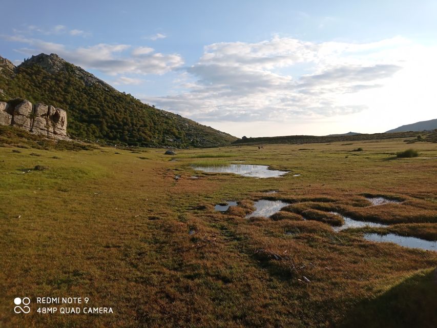 Cushion Plateau, 1000 Waterholes Grass: Pozzines - Languages Offered