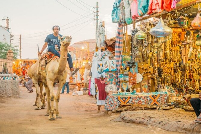 Day Trip to Nubian Village With Camel Tour From Aswan - Accessibility and Suitability