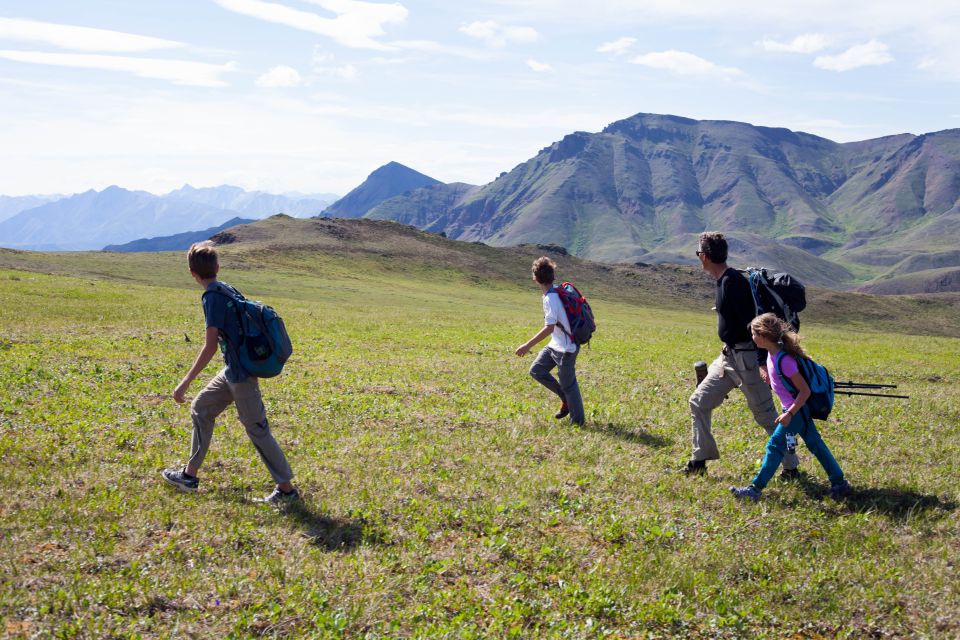 Denali: 5-Hour Guided Wilderness Hiking Tour - Exploring the Wilderness