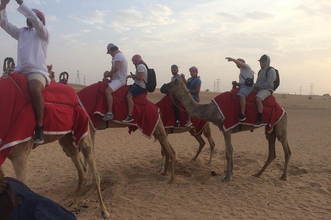 Desert Camel Ride With Live Shows & BBQ Buffet Dinner - Camel Safari Duration