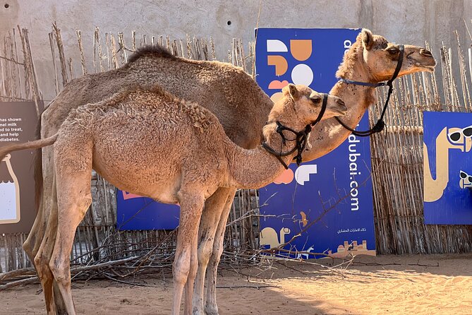 Discover Old Dubai on Foot With Local Experts, Markets&Abra Ride - Traversing the City via Abra Boat