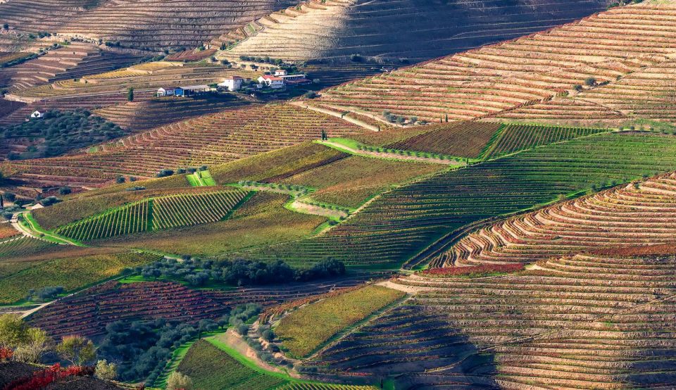 Douro Tour From Porto - Pinhão/Régua 1-Day - Boat Cruise on Douro River