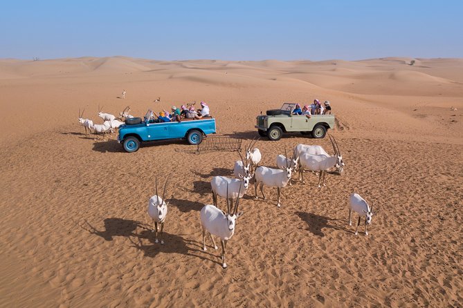 Dubai Heritage Land Rover Desert Safari With Traditional Dinner - Falconry Display