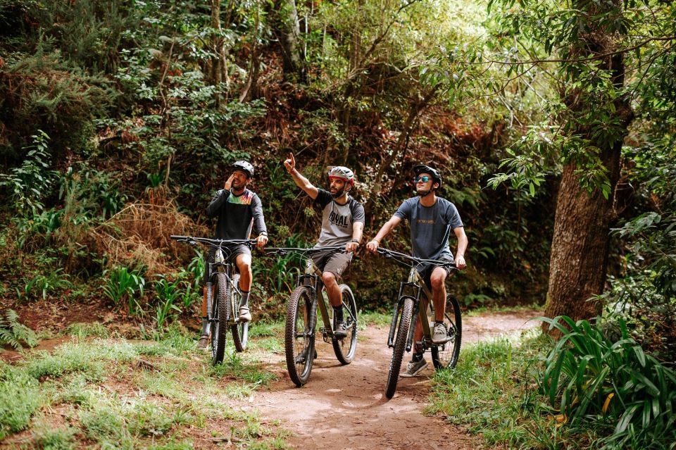 E-Bike Guided Tour - Belle Vue Mountain Biking - Additional Information