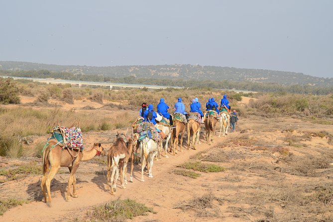 Essaouira 2-Hour Camel Adventure Ride - Private Tour and Activity