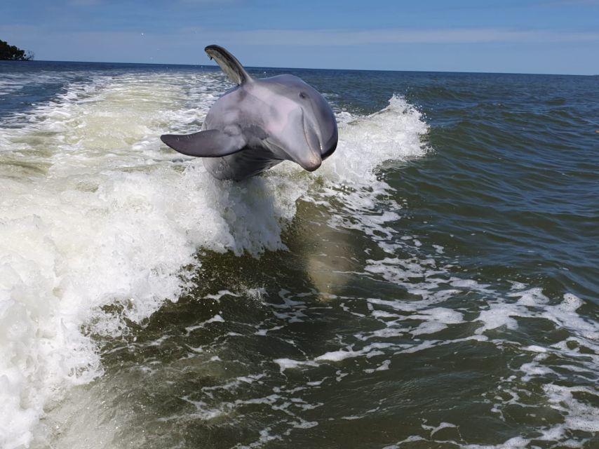 Everglades National Park: Motorboat Eco Tour - Inclusions and Amenities