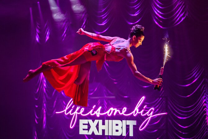 EXHIBIT - Acrobatics, Dance & Art - Interactive Art Installations