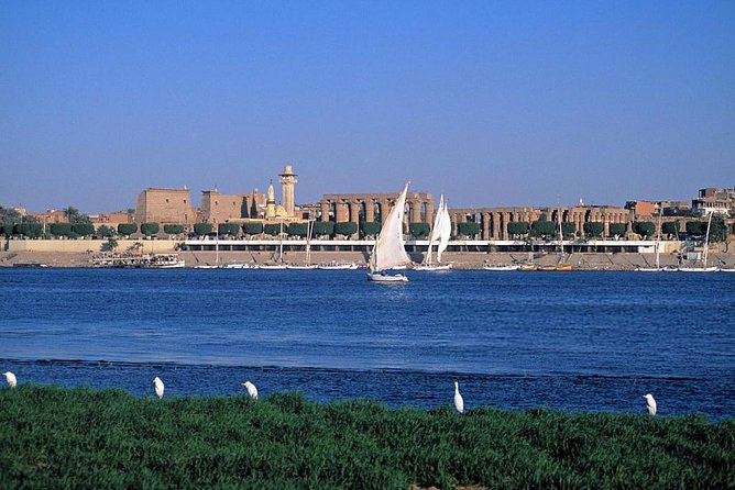 Felucca in Luxor Amazing Sunset Sailing {Private} 2 Hours - Friendly Local Guides