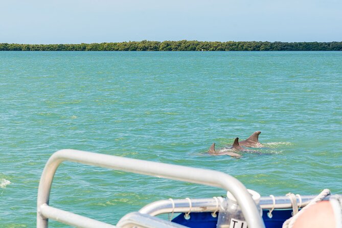 !! Flippers Fun Boat !! Dolphin Tour Adventure Clearwater Beach! - Customer Reviews and Feedback