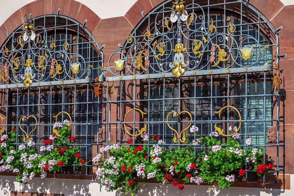 Freiburg Im Breisgau: Walking Tour of the Old Town in English - Freiburger Bächle