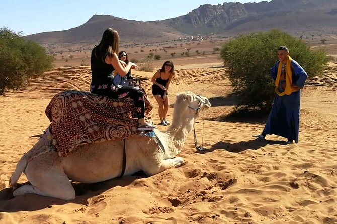 From Agadir or Taghazout: Small Desert Day Trip ​ - Accessibility Considerations