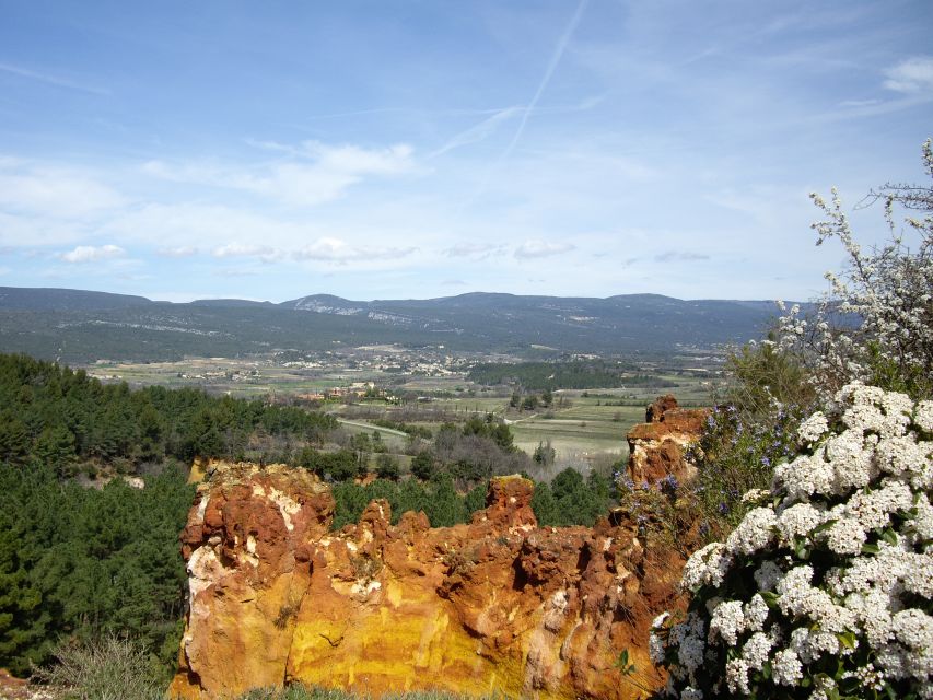 From Aix-en-Provence: Luberon Region E-Bike Full-Day Tour - Exclusions and Requirements to Note