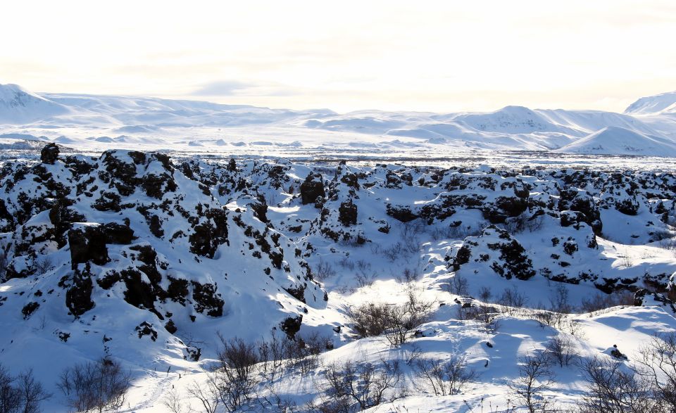 From Akureyri: Private Lake Mývatn Day Trip With Local Guide - Convenient Pick-up and Drop-off Service