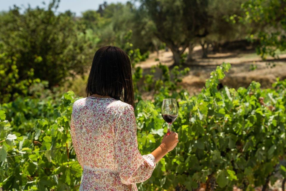 From Argostoli: Private Wine Tasting & Vineyard Tour - Wine Tasting Experience