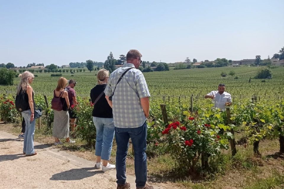 From Bordeaux: Saint-Emilion Guided Wine Tasting Tour - Transportation and Inclusions