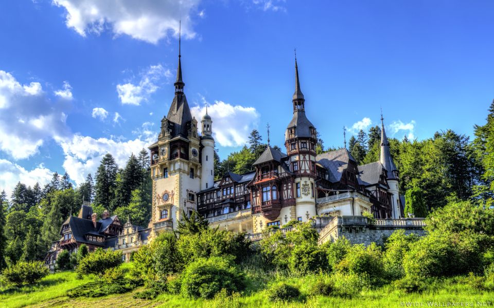 From Bucharest: Day Trip to Dracula and Peles Castle - Pickup and Dropoff Details