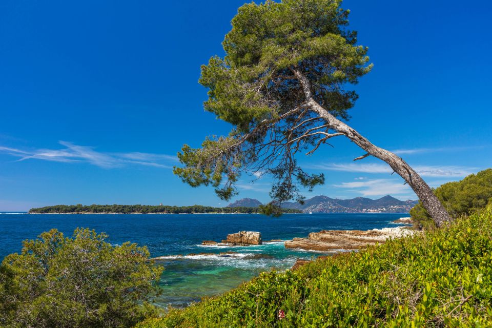 From Cannes: Round-Trip Ferry to Ste. Marguerite Island - Important Information for Visitors