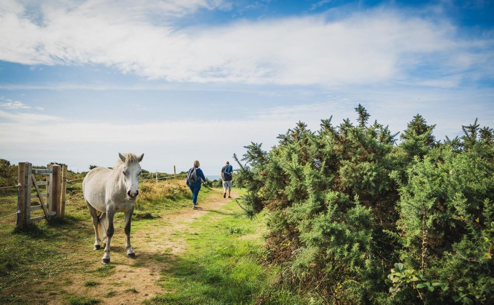 From Cardiff: Mumbles, Three Cliffs, Worms Head Gower Tour - Inclusions and Cancellation