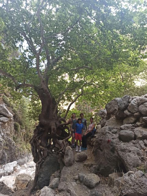 From Chania: Agia Irini Gorge Hike & Beach Relaxation - Optional Private Boat Tour