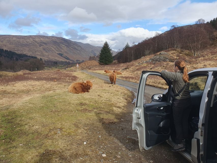 From Edinburgh: Off-The-Beaten-Track Scottish Highlands - Ancient Stone Circles and Celtic Crosses