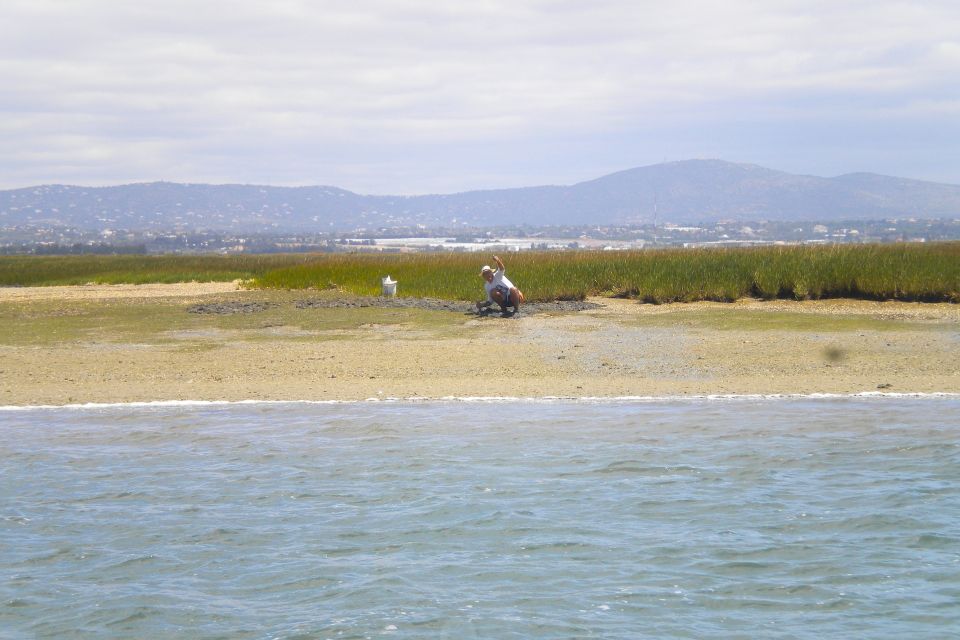 From Faro: Ria Formosa Lagoon Boat Tour With Local Guide - Meeting Point and Preparation