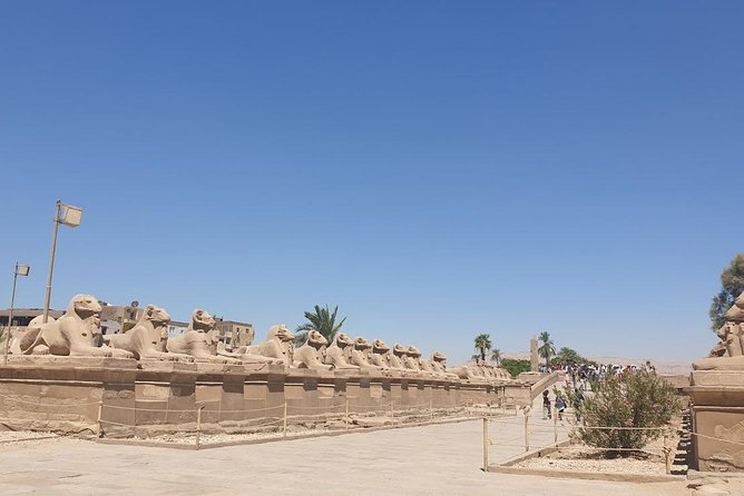 From Hurghada Individual Excursion to Luxor & the Valley of the Kings - Exploring Karnak Temple