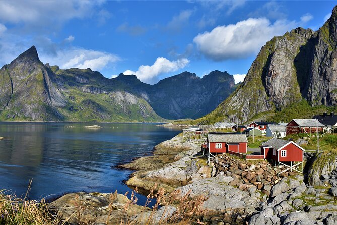 From Leknes Port: Special Summer Guided Tour of Lofoten - Cancellation and Refund Policy