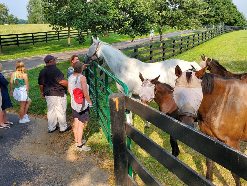 From Lexington: Kentucky Horse Farms Tour - Cancellation Policy